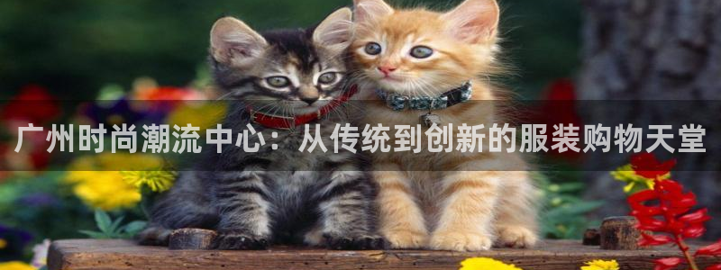 谈球吧登录地址