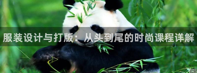 谈球吧官网在线入口免费观看视频网站