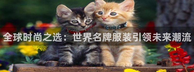 谈球吧平台：全球时尚之选：世界名牌服装引