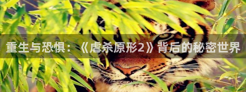 谈球吧app官方下载