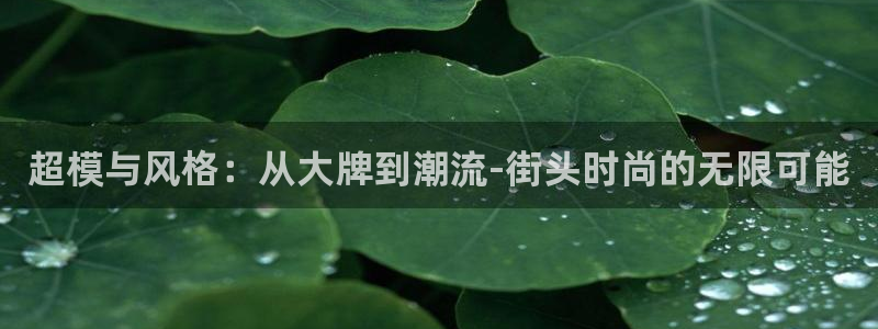 谈球吧体育赛事入口