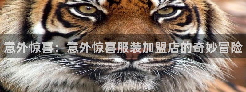 谈球吧app靠谱吗